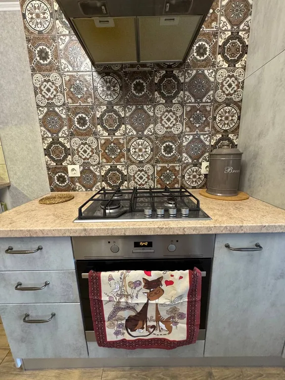 Уютная квартира рядом с Куршской косой