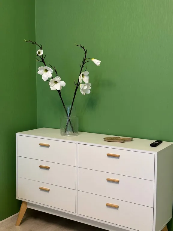 Уютные однокомнатные апартаменты