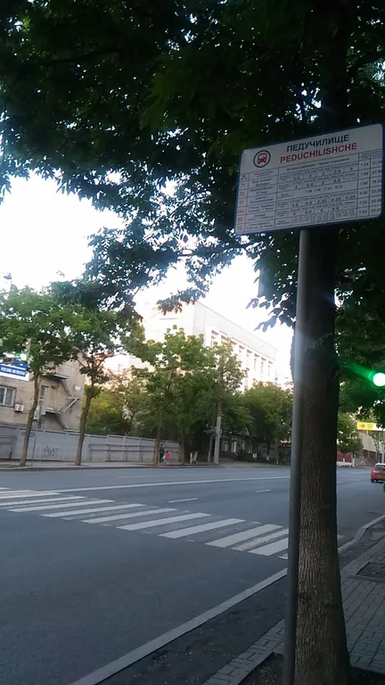 Отличная однушка в центральном районе