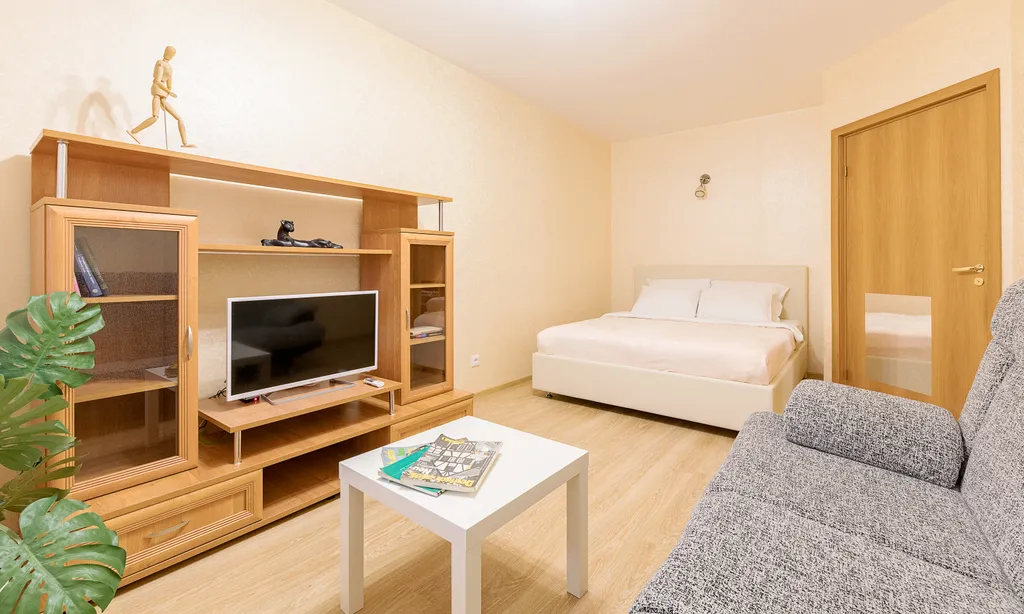 Однокомнатная квартира у метро Парнас