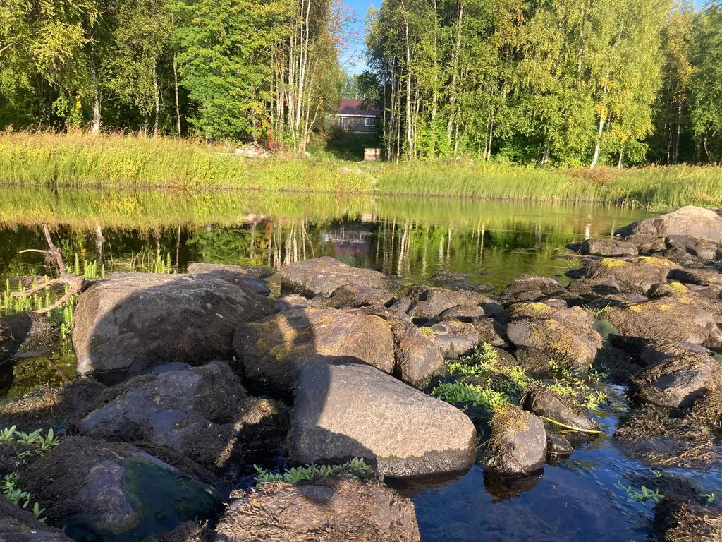 Дом у реки Сумы