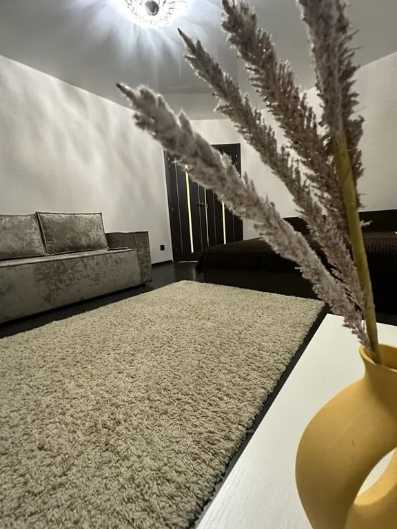 Вместительная двушка у Патронного