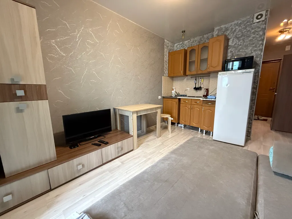 Студия  - диван, стиралка, холодильник, СВЧ, водонагреватель