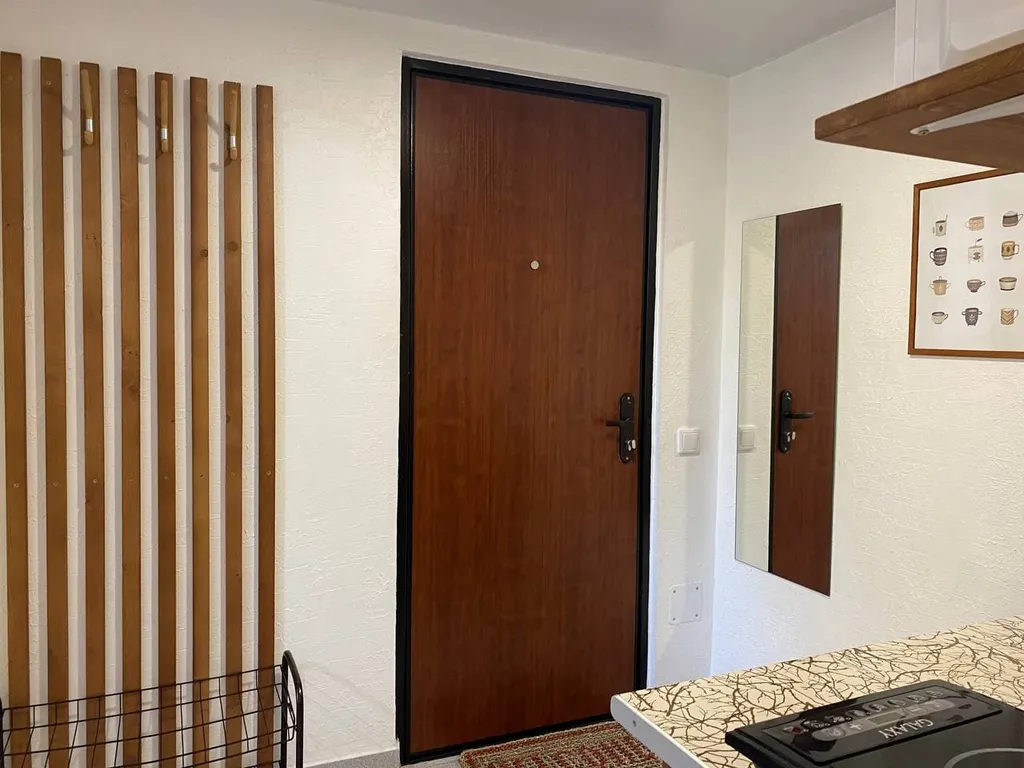 Студия рядом с зоопарком III