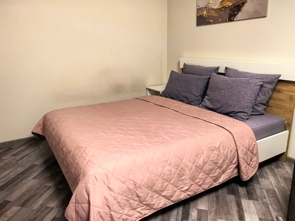 Full House Apartment