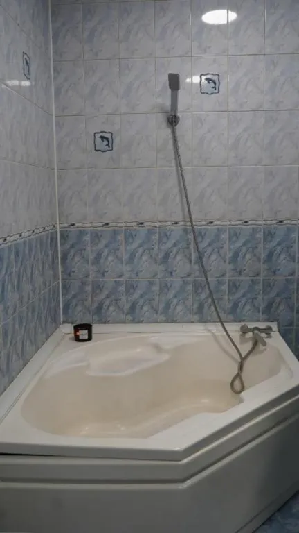 1-комнатная квартира в Алматы