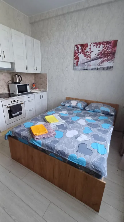 Квартира Квартира Уютная студия ждет своих гостей — Москва