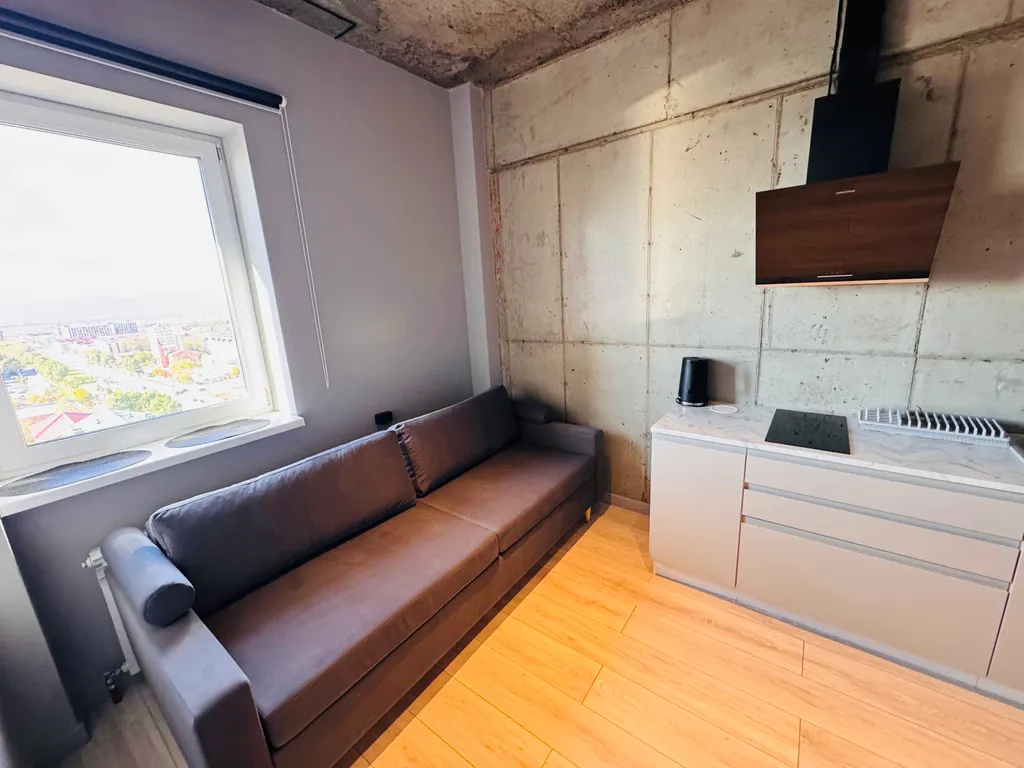 Лофт с видом на телебашню