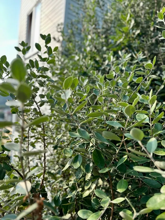 Уютный домик с видом на море