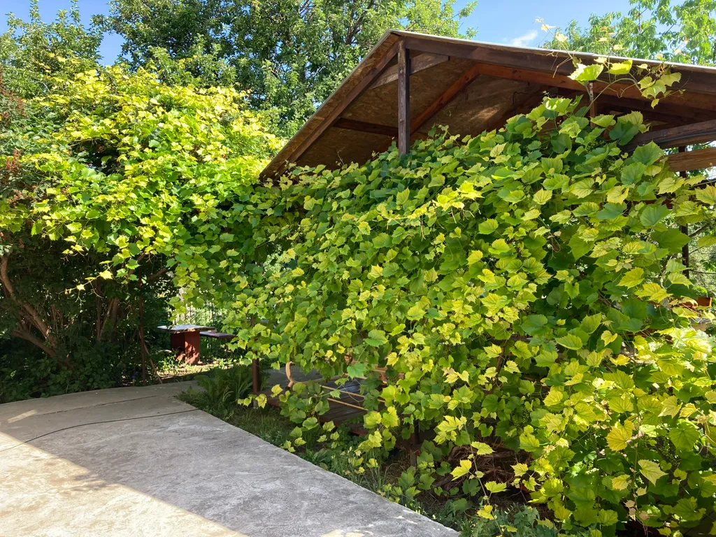 Семейный номер (комната)