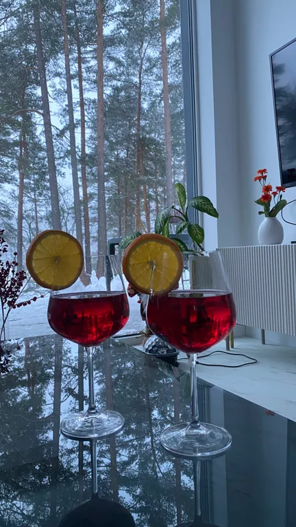 Стильный дом на берегу Ладожского озера с панорамным видом