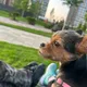 Наталья Погоян