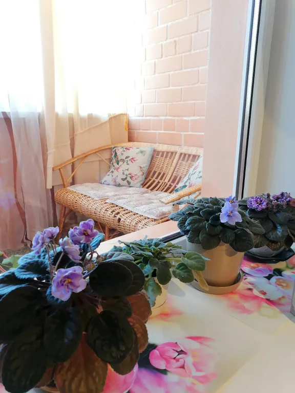 Уютные апартаменты на Урицкого