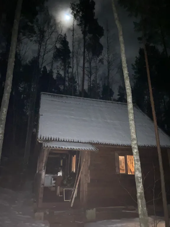 Хижина в лесу на берегу озера без соседей