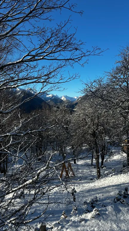Квартира Комната — Архыз