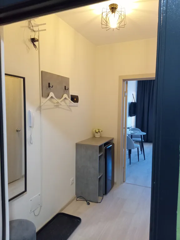 Вип студия в ЖК Зеленый Остров