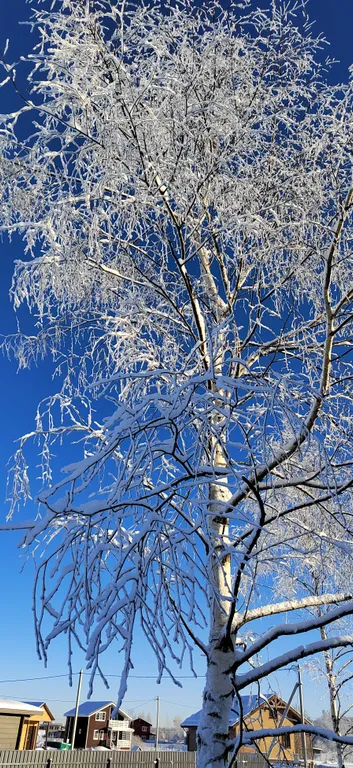 Коттедж Домик с видом на закат — Селинское