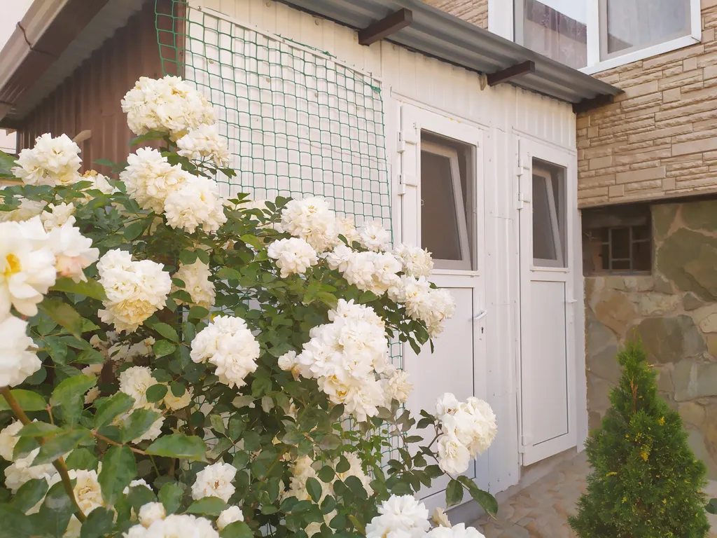 1-местная комната, зона отдыха на воздухе, общий душ и туалет, 7 мин до моря