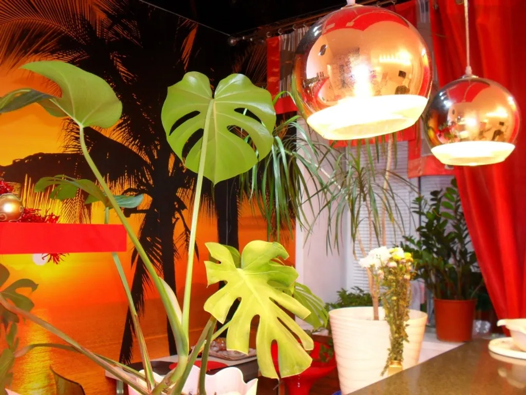 Квартира-студия в самом центре города