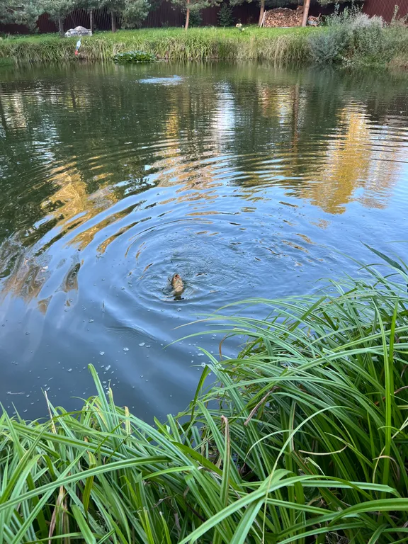 Элитный дом с озером и банным чаном