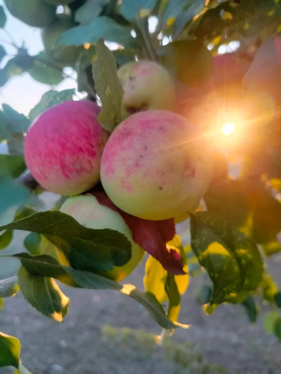 Гостевой дом в православном селе Михайловское