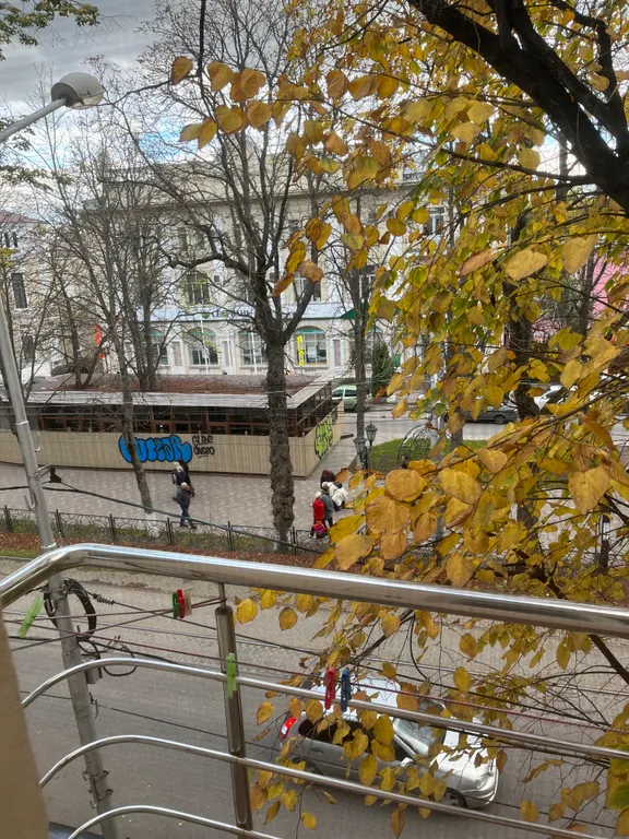 Квартира с видом на Аллею