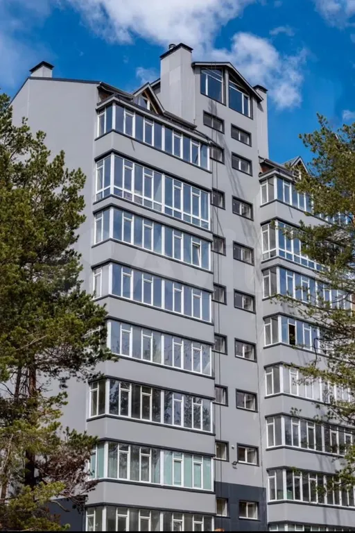 Уютная квартира в сосновом бору с видом на реку, лес и горы — аренда посуточно в Терскол