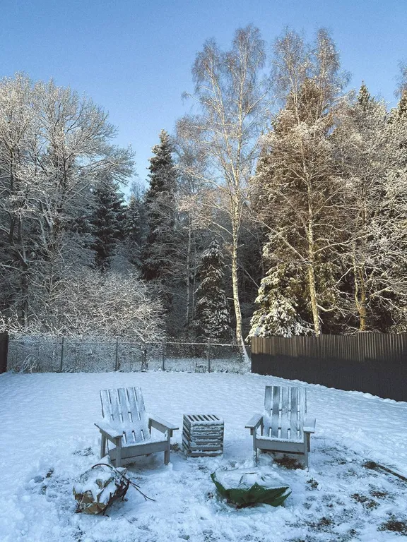 Уютный дом с панорамным видом на лес