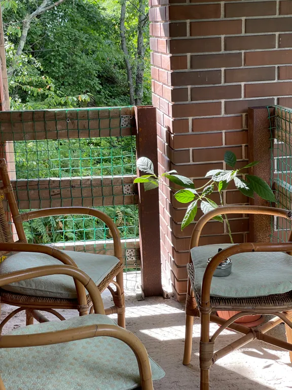 Уютный дом с баней, чаном и видом на горы