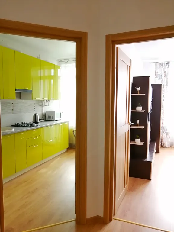 Квартира Уютная квартира — Светлогорск