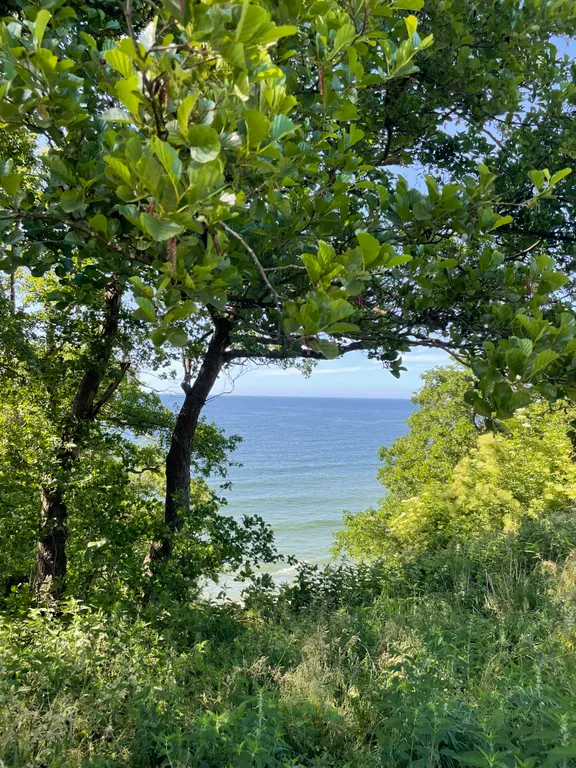 Уютная квартира у моря — аренда посуточно в Пионерский