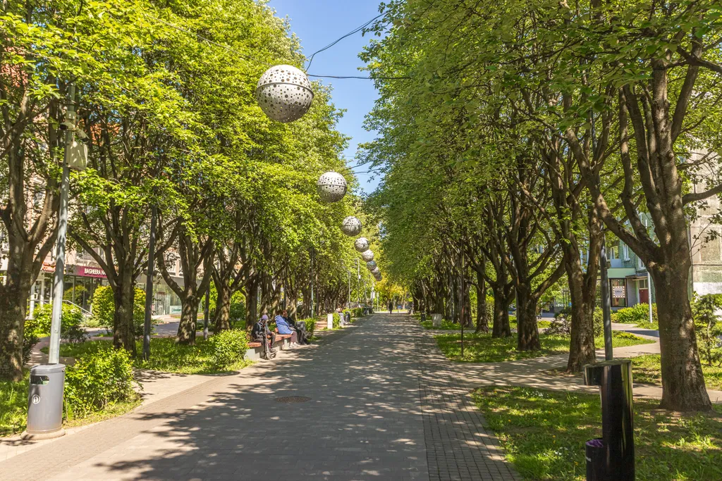 Квартира Квартира "Золотая рыбка" в центре, Зоя-апарт — Калининград