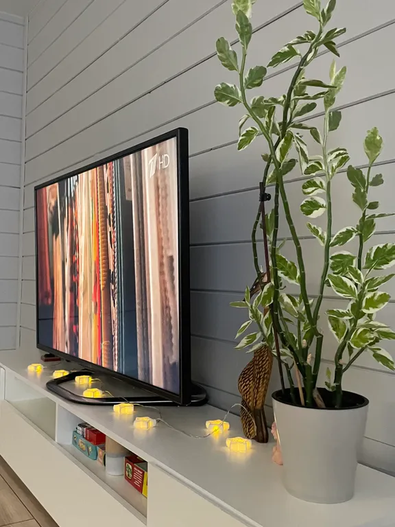 Уютный дом в окружении леса