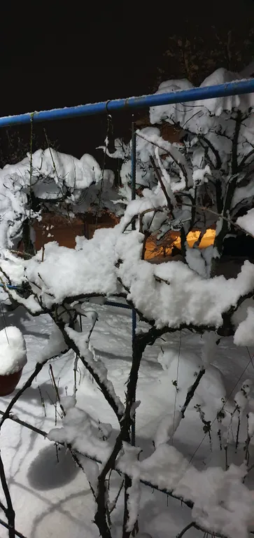 Коттедж FLIGELMUZ (Загородный Музыкальный Флигель). — Северская