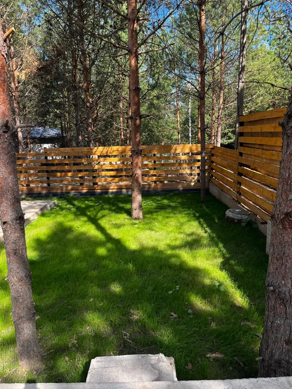 Дом в сосновом лесу