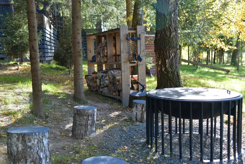 Дом с панорамными окнами в чаще леса у берега реки