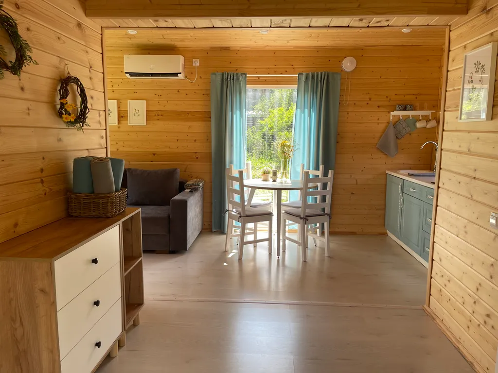 Дом с баней у леса