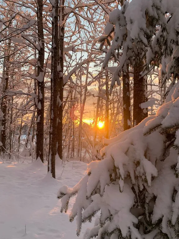 Коттедж Панорамный домик в стиле барнхауз — Кротово