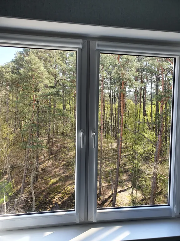 Квартира Квартира у Озера с видом на сосновый бор — Светлогорск