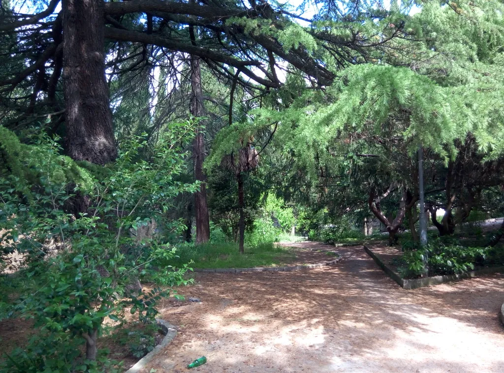 Дом в парковой зоне