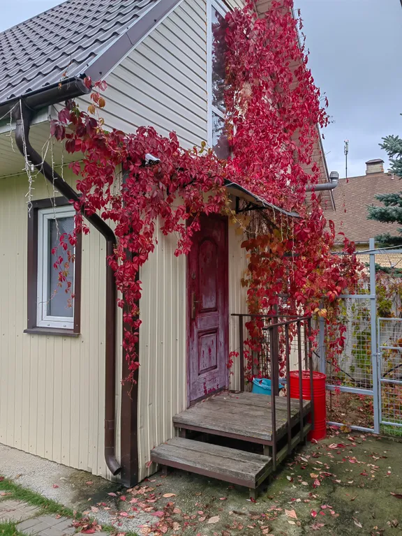 Уютная студия в тихой деревне