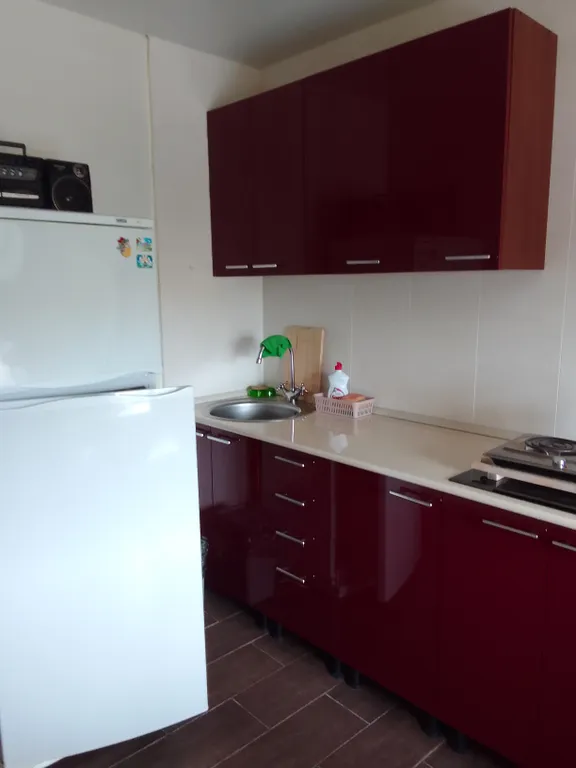 Квартира 1-комнатная Квартира — Саров