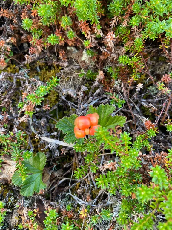 Квартира на краю земли