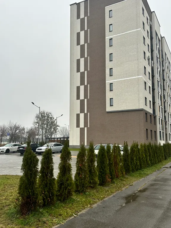 Новые апартаменты в центре Бреста