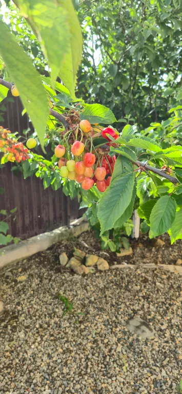 Коттедж 2-комнатный Дом — Волна