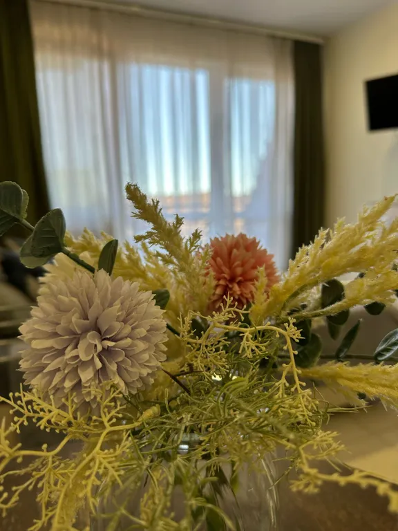 Квартира Квартира-студия в центре — Адлер