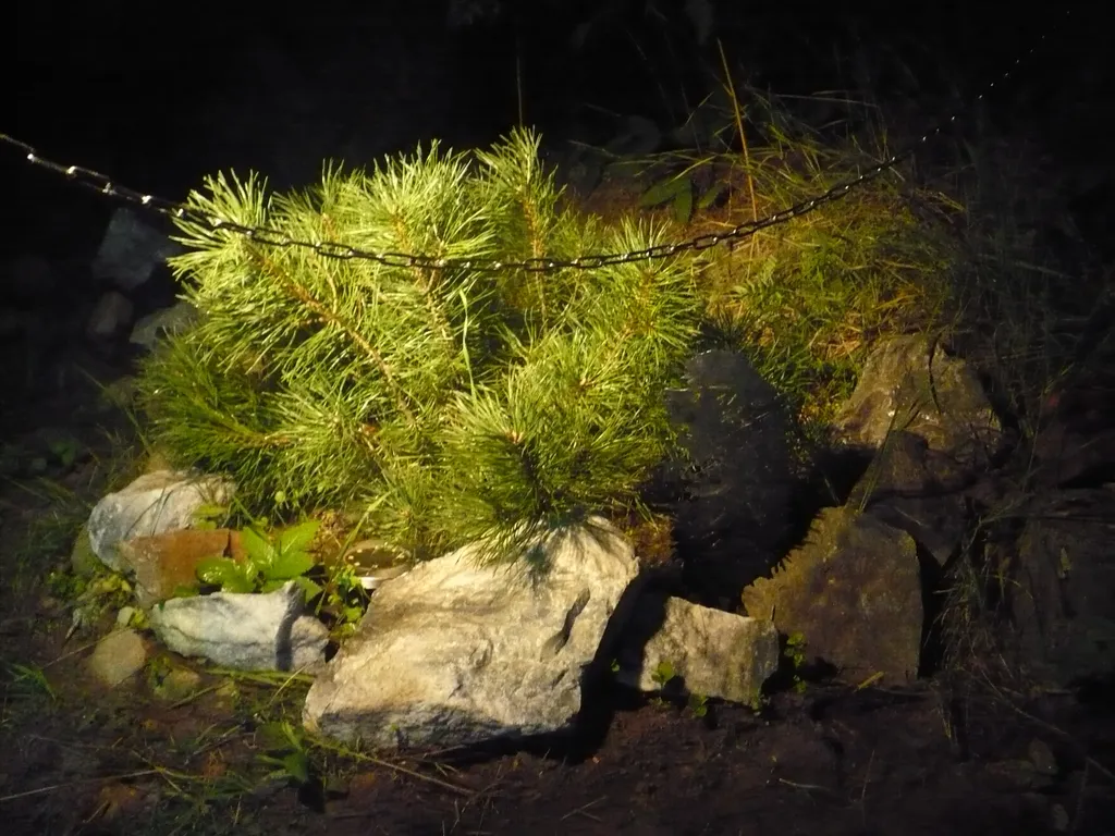 Домик на горке с баней