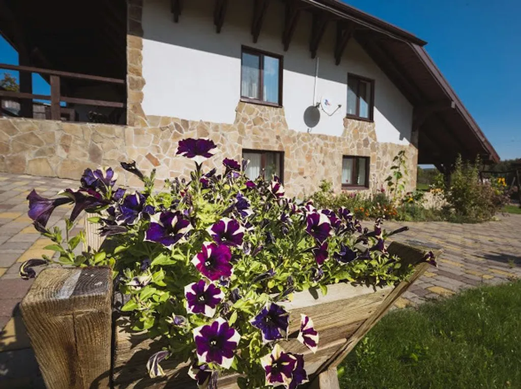 Шале под Минском