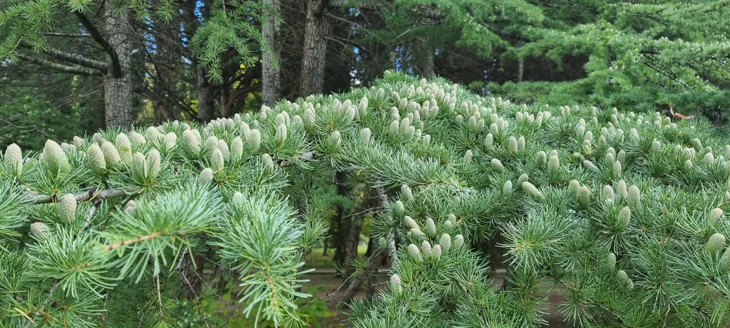 Квартира Видовая квартира-студия прямо у моря — Сочи