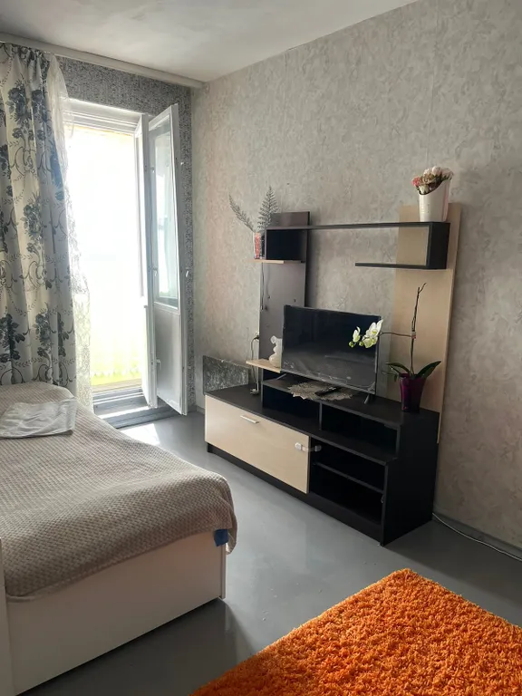 Уютная однокомнатня квартира в центре города — аренда посуточно в Лахденпохья